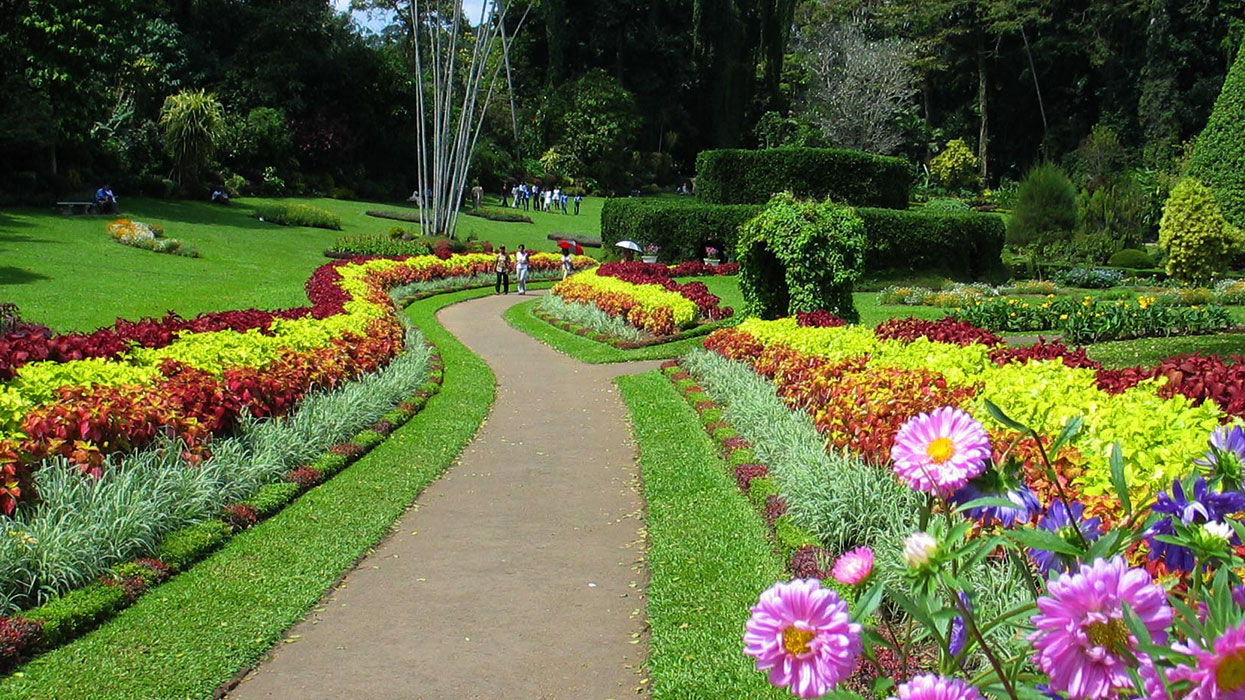 Botanical Gardens